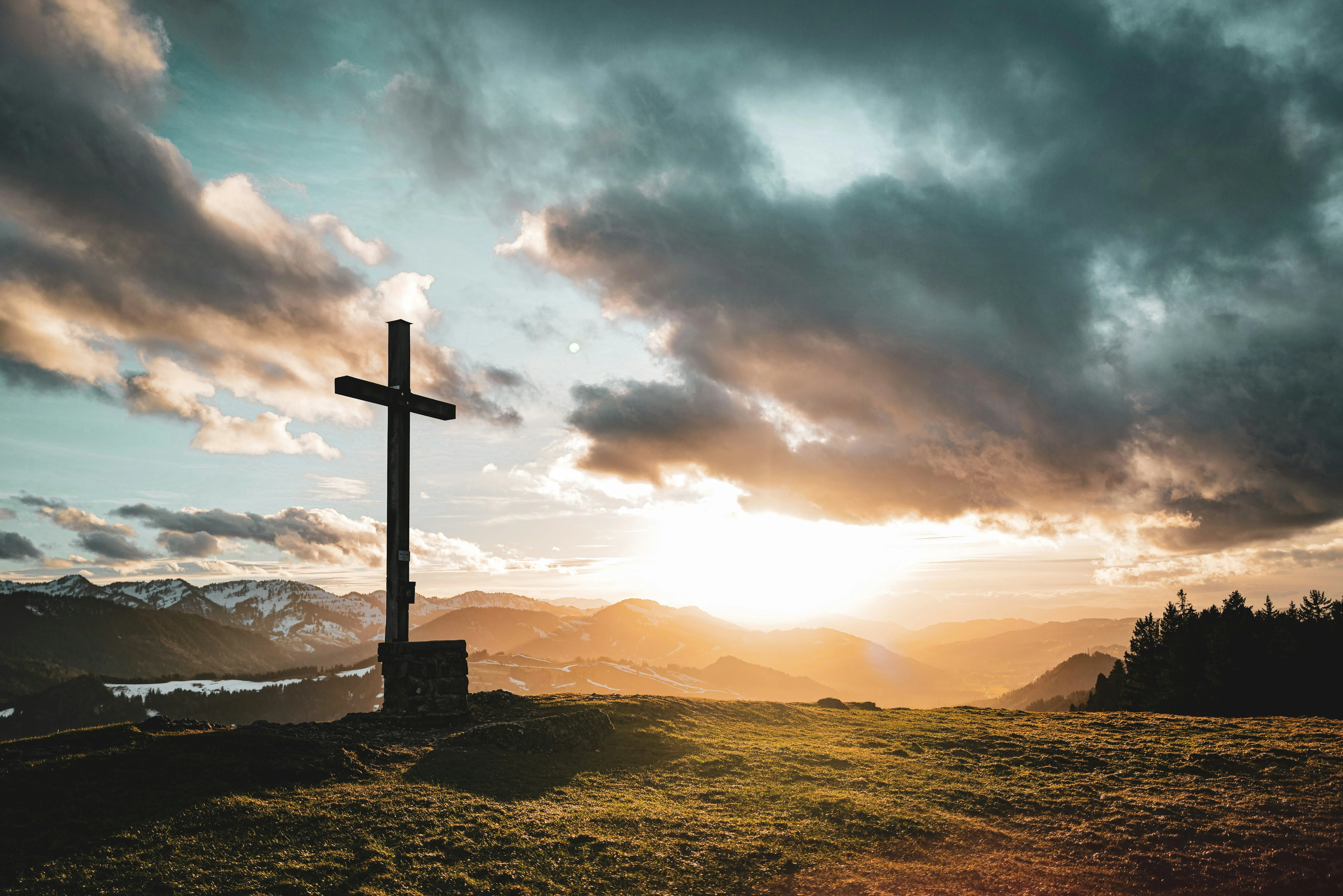 Sunlight through trees, a reminder of hope and new life in Christ
