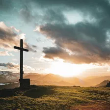 Sunlight through trees, a reminder of hope and new life in Christ